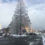 IMG_0462