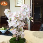 IMG_0515 (1)